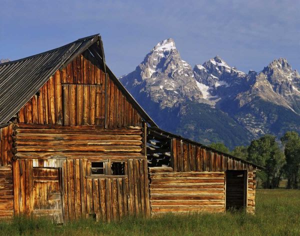 WY, Grand Tetons A weathered wooden barn